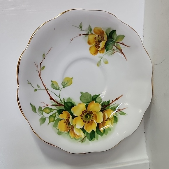 Royal Standard - Bone China - Cup and Saucer - Wild Rose - Picture 2 of 8